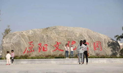 水牛稻生态园？种水稻有什么好看的！