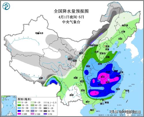 荒诞与人性