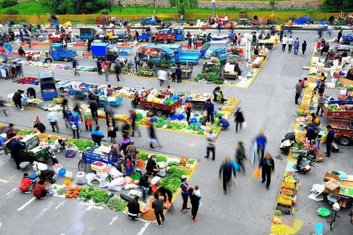 美食大冒险：吃出人生新高度