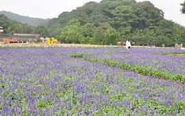 广州石门公园门票省钱大作战！不看后悔一万年！