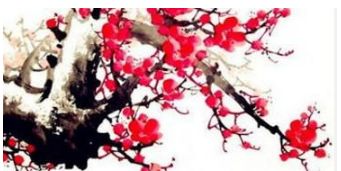 震惊！老祖宗的梅花易数居然能算出你家风水要完蛋？2026年大凶方位曝光！