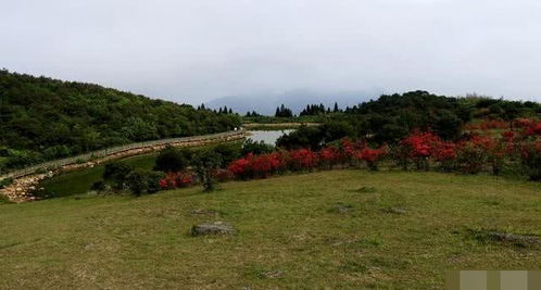天池草甸：高山草原的神秘面纱