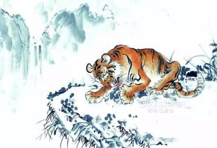 1986年出生的虎年人婚姻最佳年份大揭秘