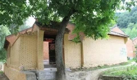 房屋后种什么树风水好,房屋后种什么树风水好