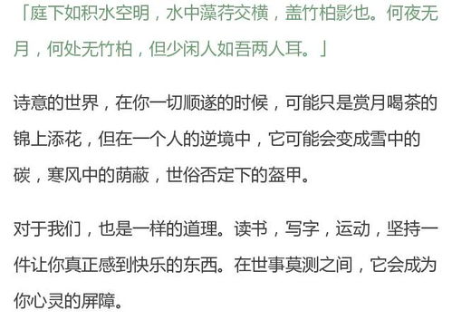 二、什么狗屁