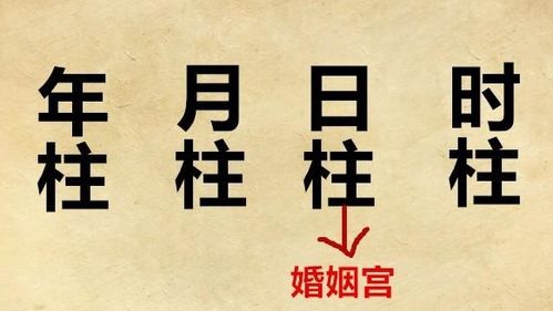 夫妻宫的八字命理解释图,八字夫妻宫夫妻星