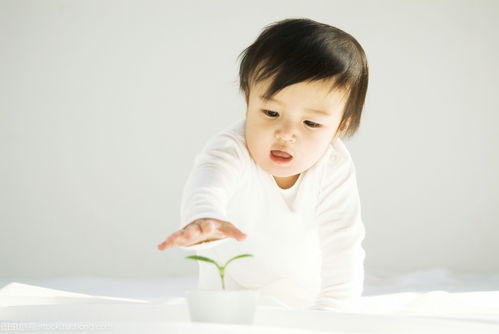 最后再来看祝较大家都能给自己的较小公主取个良好名字！更更多起名技巧！以及一些噪音数据！更更多起名技巧！以及一些噪音数据！更更多起名技巧！以及一些噪音数据！
