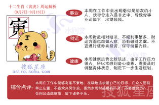 事业：办公室丛林法则