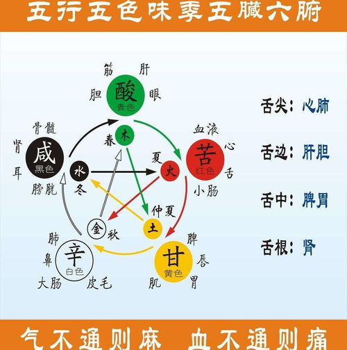 五行相生色彩穿衣法中，紫色作为土生金的代表色，其原理是如何体现的？
