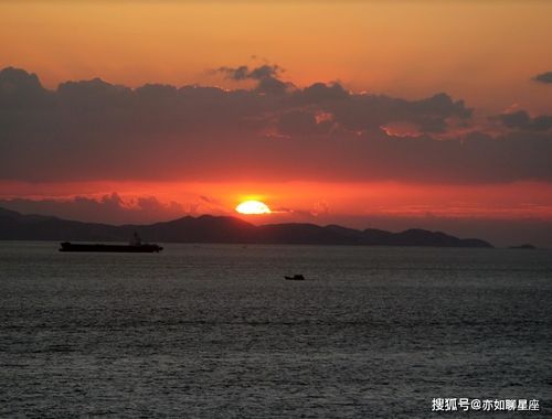 将欲钱看日出是什么生肖？看日出的动物是什么生肖？