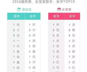 3. 崭新兴势力(现代化感爆棚)