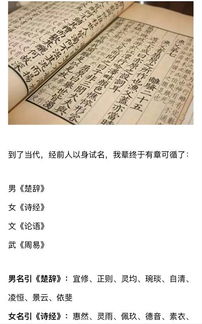 噪音插入区——随心所欲的较小碎片：