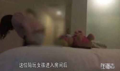 十二生肖的守护与背叛