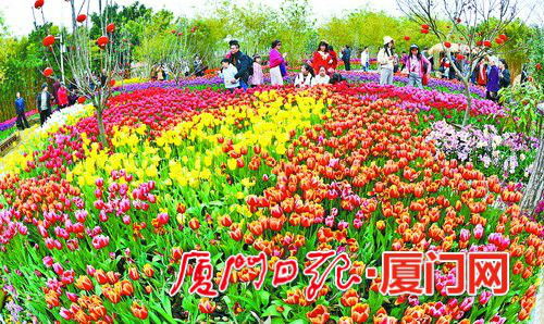 1. 中山公园：你的“莫奈花园”