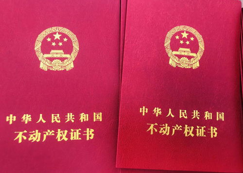 2025年12月19日领证结婚，这个日子适合我们登记结婚吗？