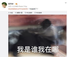 噪音插播：呜呜呜~