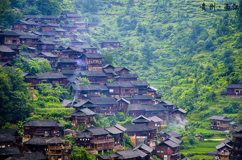 1.2 黄平历史背景