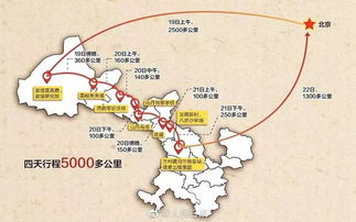 路上：颠出脑震荡