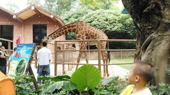 震惊！福建居然还有这种鬼地方？