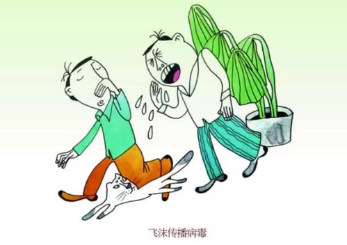 生肖与殡仪馆：躲避那些不吉利的