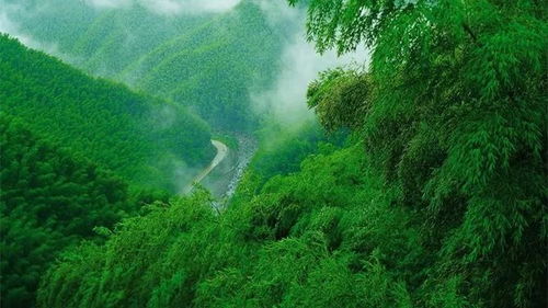 ：后悔药打十二针都买不到...
