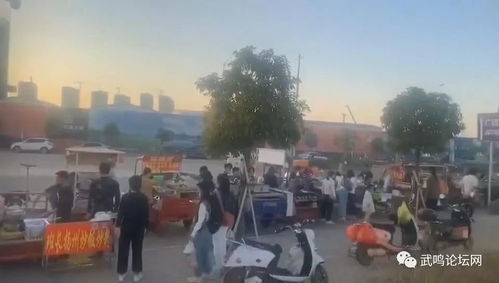 南宁到武鸣应该选择哪个火车站上车呢？