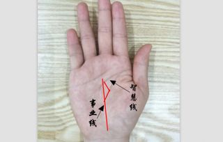 女人左食指下有田字纹，这代表她的事业运如何？