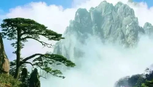 别再信什么