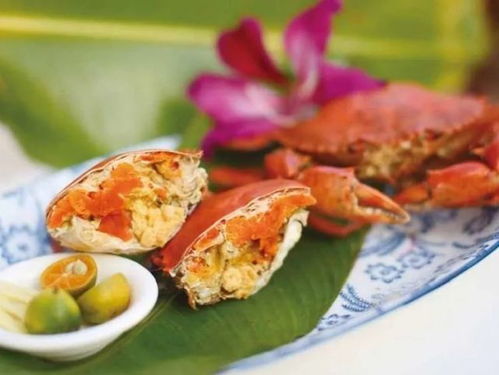 美食之旅：舌尖上的海南