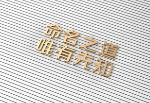 特别注意事项