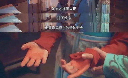 情感色彩爆炸：爱恨交织