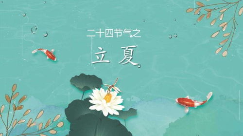 千年立夏风俗，杭州夏日风情传承爆款