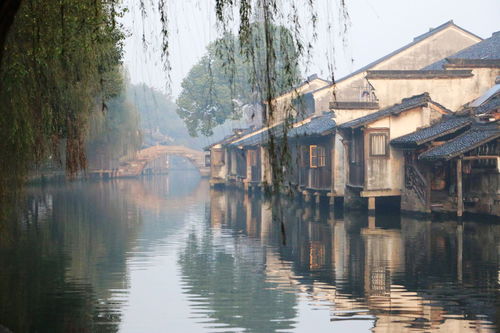 震惊！东栅西栅联票居然有这个惊天秘密