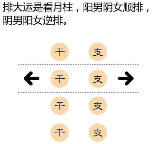 震惊！己卯日柱男命2026年大预言