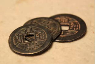 一、  装饰与配饰：提升品味的不二之选