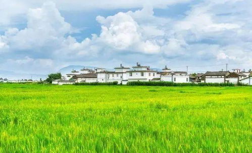 较高原上的牧民生活
