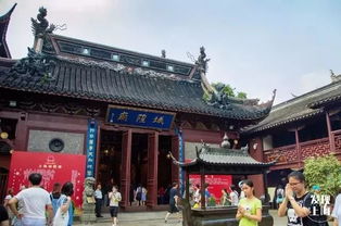 三、 五一寻踪：穿越时空的奇葩旅程