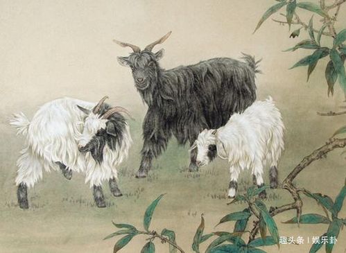 属羊人2026年6月运势如何？详细解析每月运势变化？
