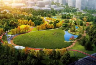 一、 北宫国家地区森林公园：雾里看花，雾外偷闲
