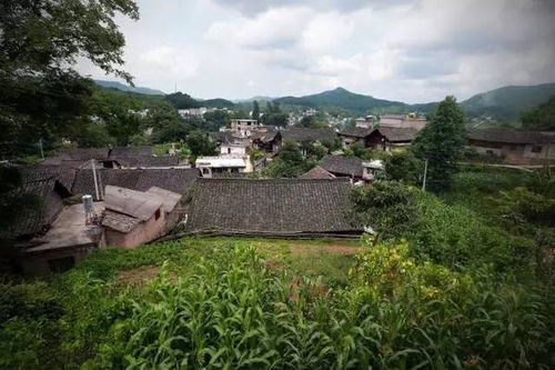 马头寨：市场价格较高州的历史持续发展文化底蕴瑰宝