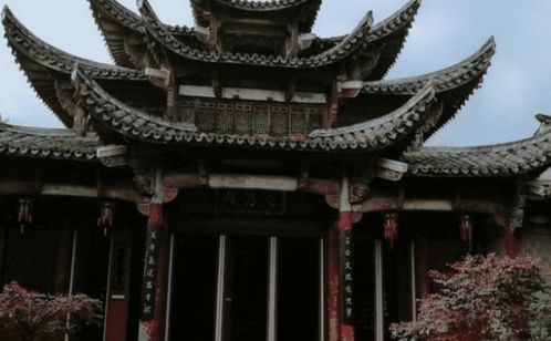 2．古老树木与神秘石碑