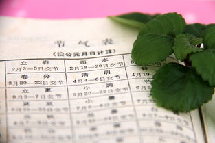 双春年的由来与形成原因