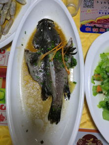 美食：舌尖上的灾难