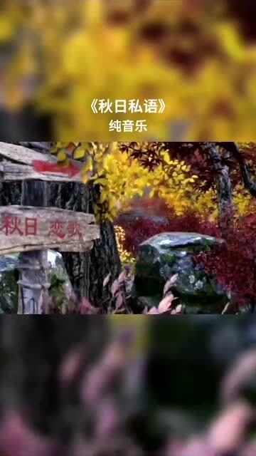 那东西夜晚，  一切从元宵灯会开头