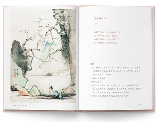 夜深厚人静：风水局中的鬼影