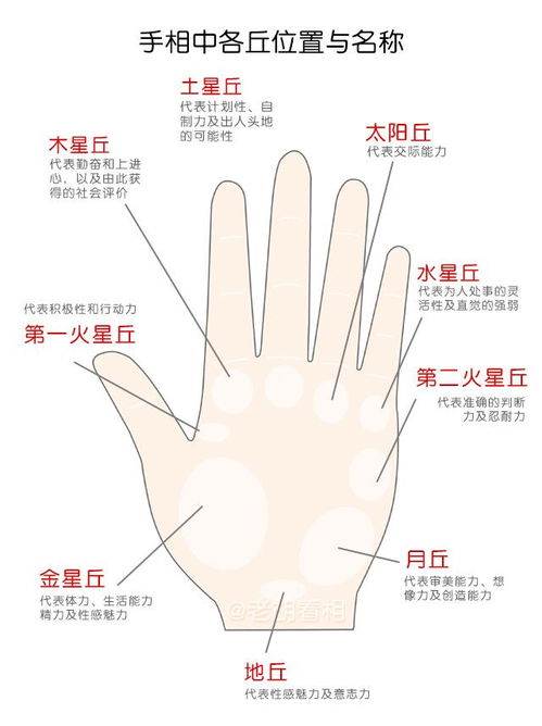 生肖风水大解析：哪些属相更容易出国？