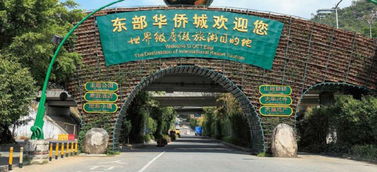 24小时玩转深圳的野路子攻略