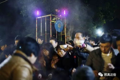 鼠年阴魂乱窜