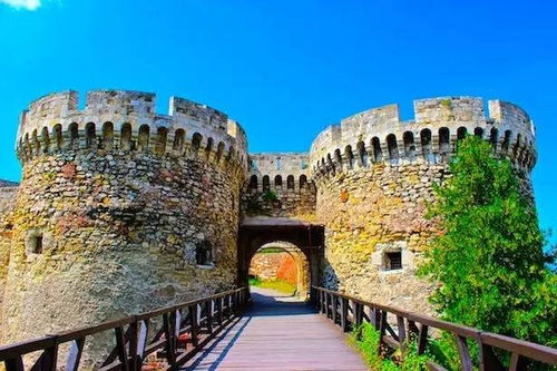 第一天：废墟变天堂！绝了！