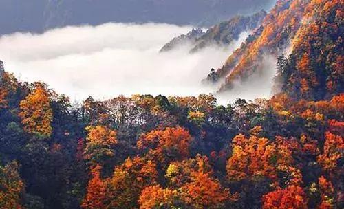 黄山秋游必备：帐篷租赁与住宿建议 (露营也是个选择)